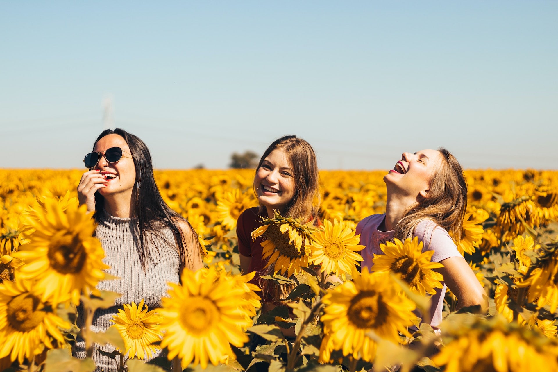 Three female friends standing and laughing in a field of sunflowers.  MyPinkNow.com
