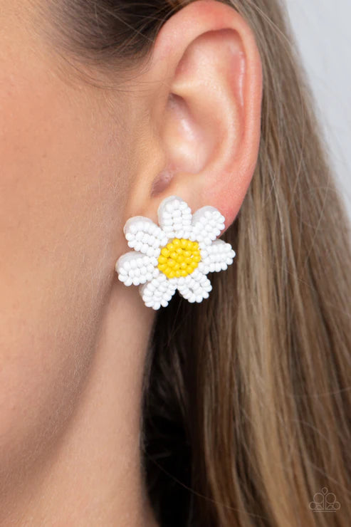 Daisy Kind of Day - Select Set
