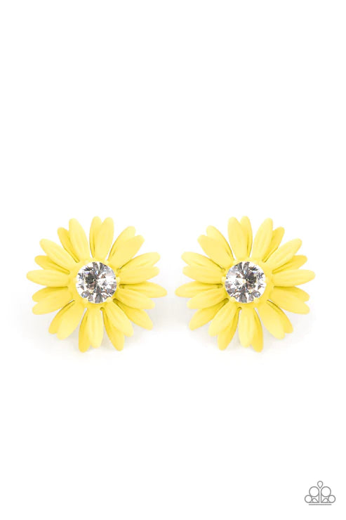 Sunshiny DAIS-Y - Yellow